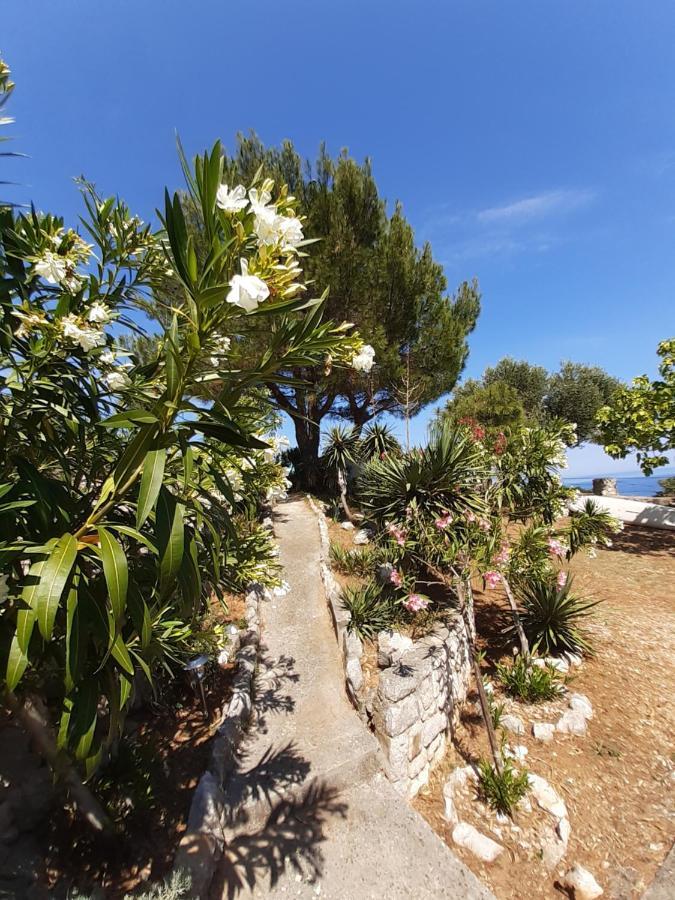 Apartment 4M Čunski Εξωτερικό φωτογραφία