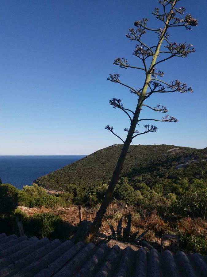 Apartment 4M Čunski Εξωτερικό φωτογραφία
