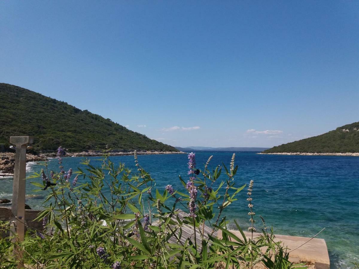 Apartment 4M Čunski Εξωτερικό φωτογραφία