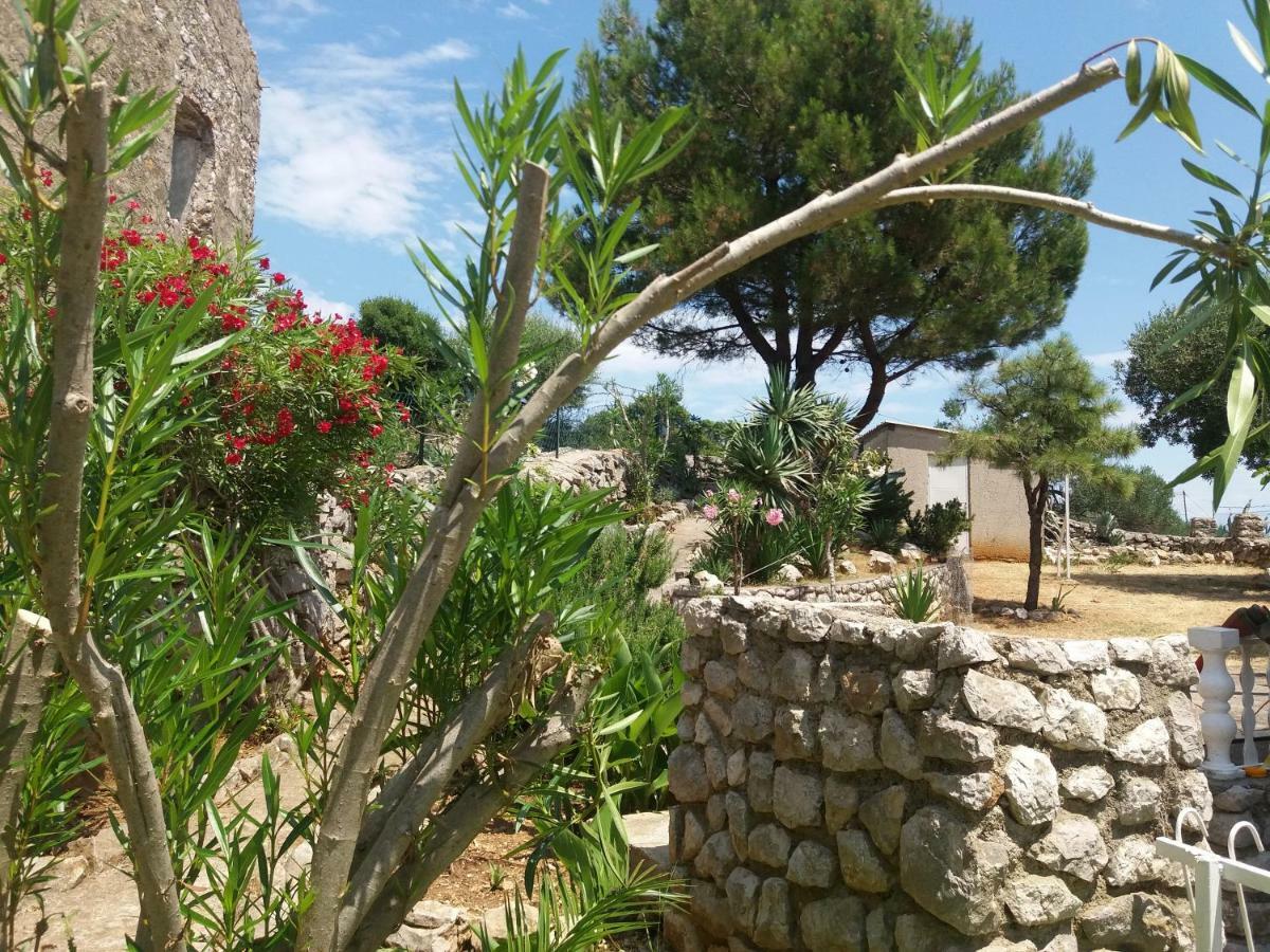 Apartment 4M Čunski Εξωτερικό φωτογραφία