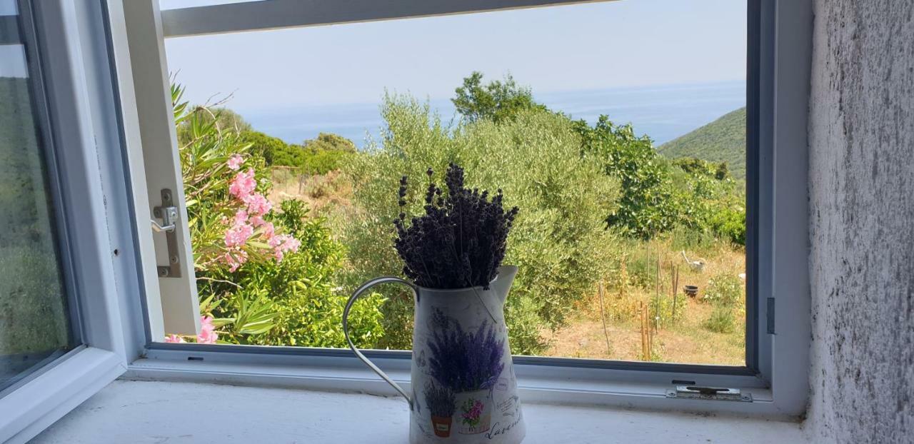 Apartment 4M Čunski Εξωτερικό φωτογραφία